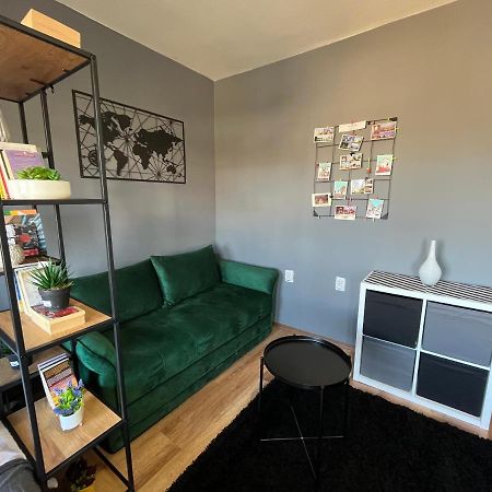 Mickitos City Center Apartment Szkopje Kültér fotó